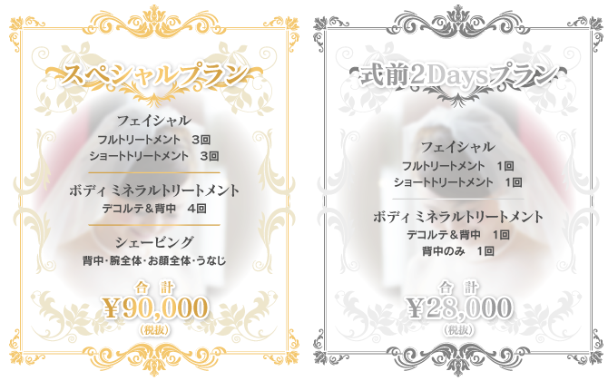 スペシャルプラン/合計¥90,000(税抜)、式前2Dayプラン合計¥28,000(税抜)