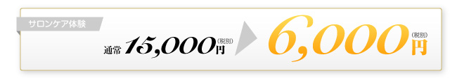 通常15,000円が5,000円(税別)
